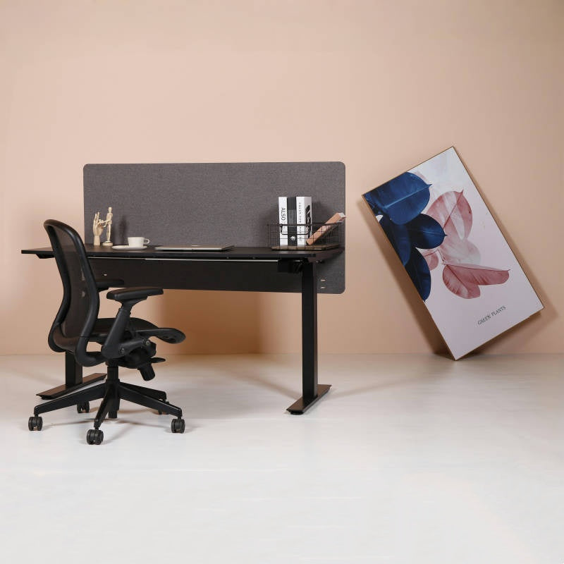 Dual Motor Electric Height Adjustable Standing Office Desk - TFT Office Trend