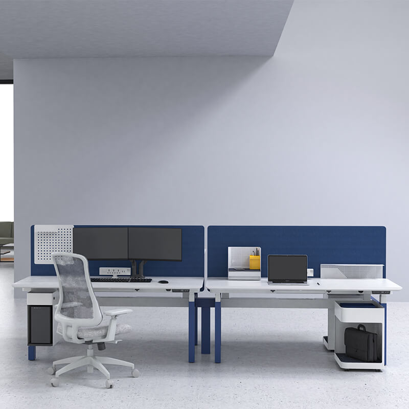 Pro-Type Acoustic Modular Desk Systems & Workstation